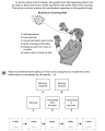Organ systems and responses 2.png