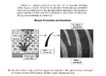 Thumbnail for version as of 13:37, 13 March 2026