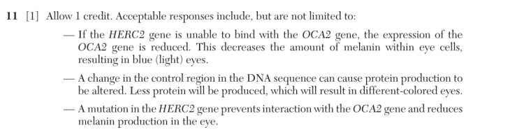 Answer to Question 3
