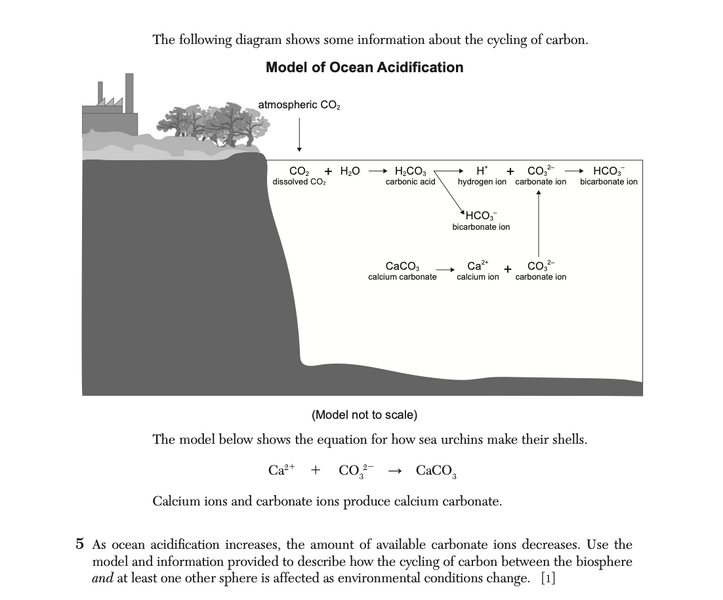 File:Biology Ju25 5.png