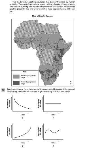 Giraffe adaptations and population changes 4.png