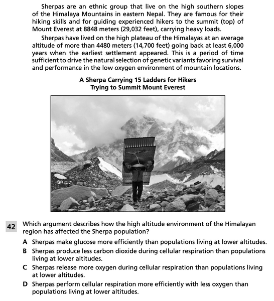 File:Respiration 4.png