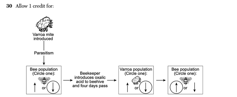 File:Biology Ja26 30a.png