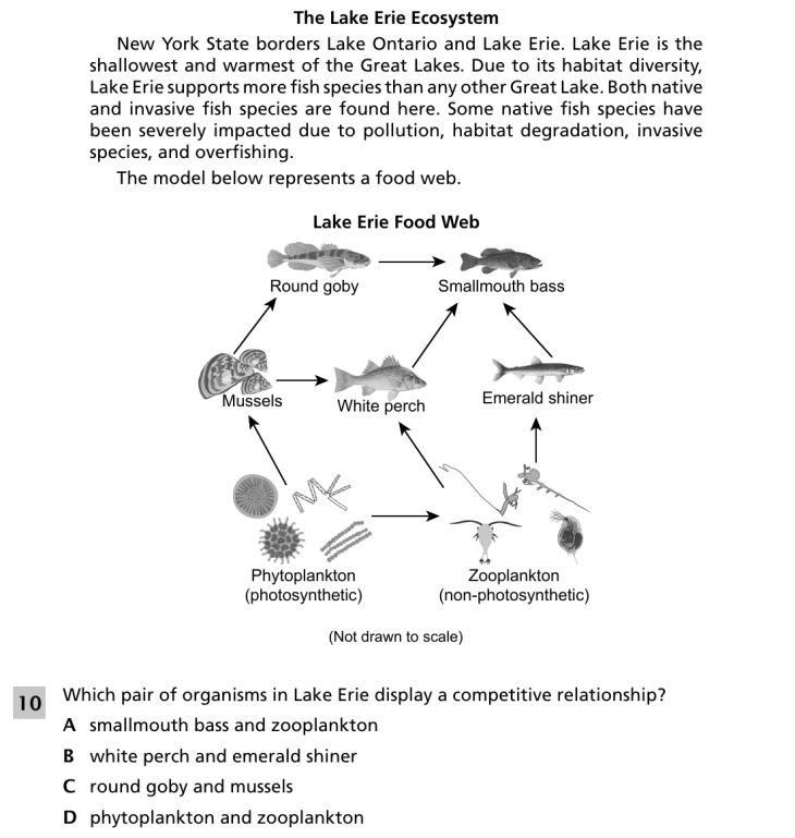 Question 1