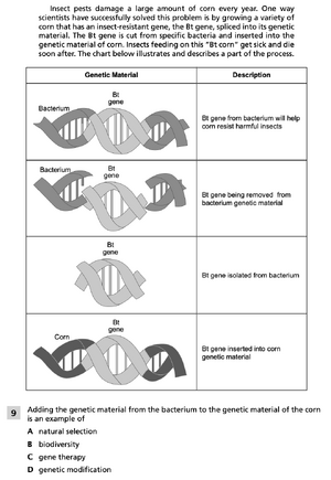 Variation and corn 4.png