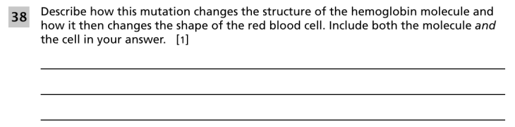 Question 2