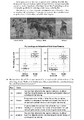 Thumbnail for version as of 13:37, 13 March 2026