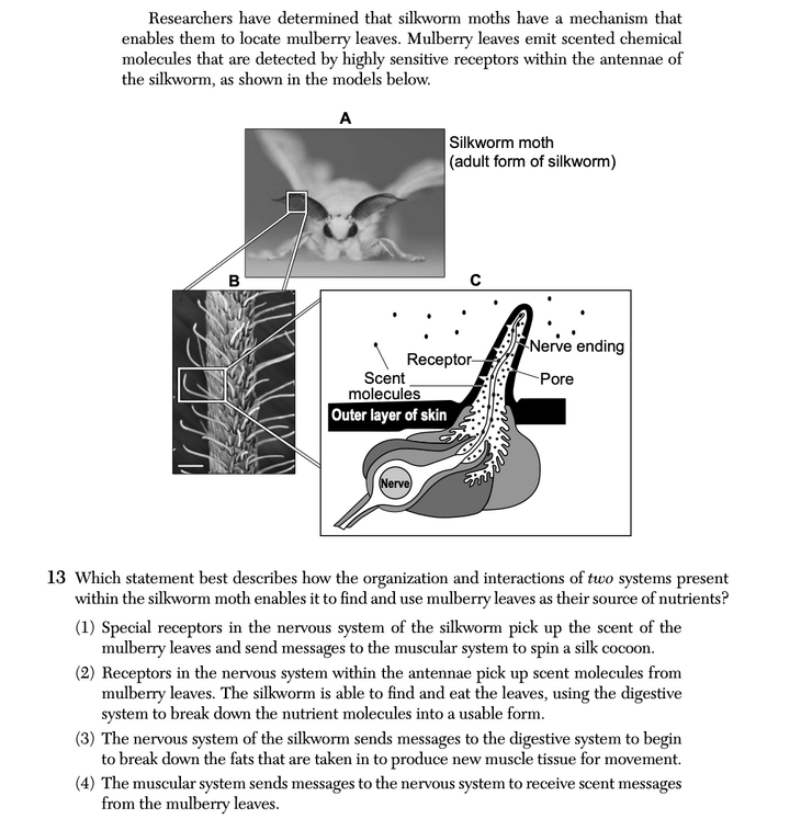 Question 3
