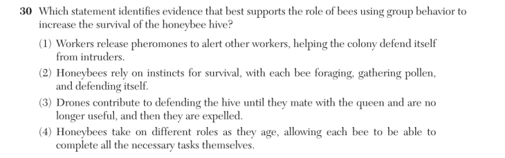 Question 3