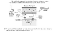 Thumbnail for version as of 13:37, 13 March 2026