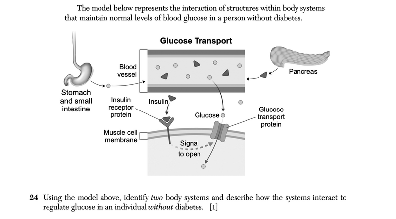 File:Biology Ja26 24.png