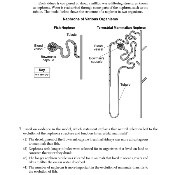 File:Biology Ju25 7.png
