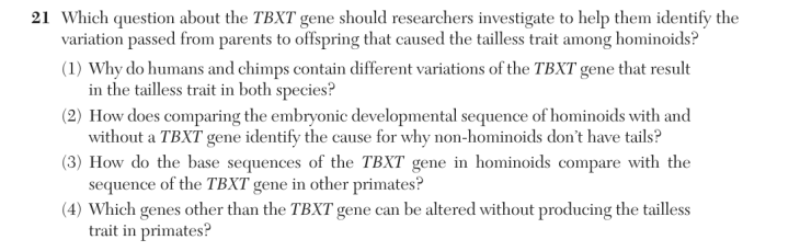 Question 3
