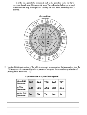 Prostaglandins 2.png