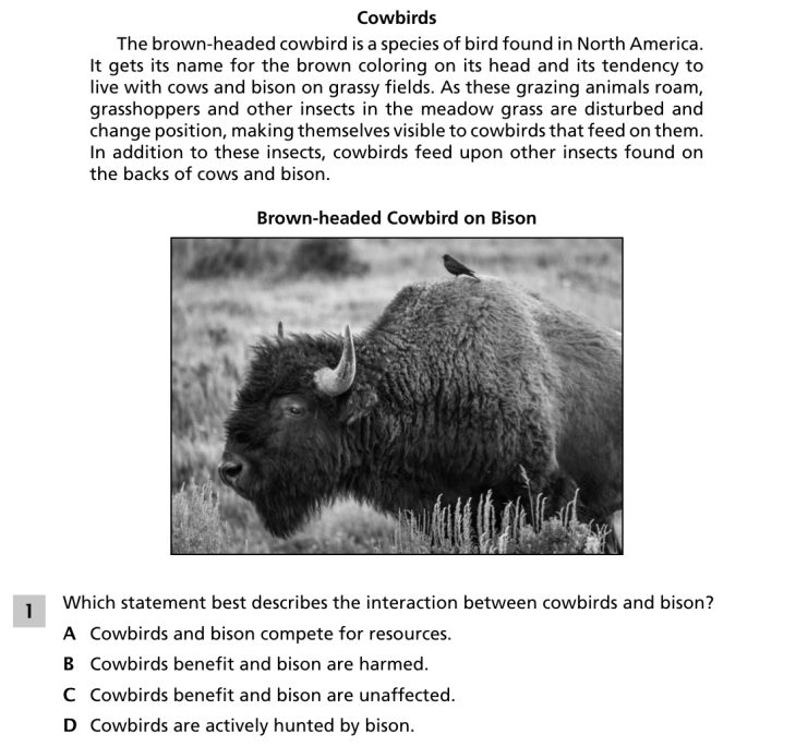 Question 1