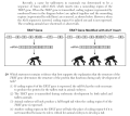 Biology Ju26 20.png