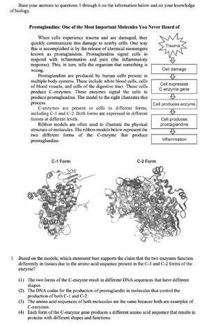Prostaglandins 1.png