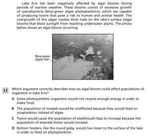 Lake erie ecosystem 2.png
