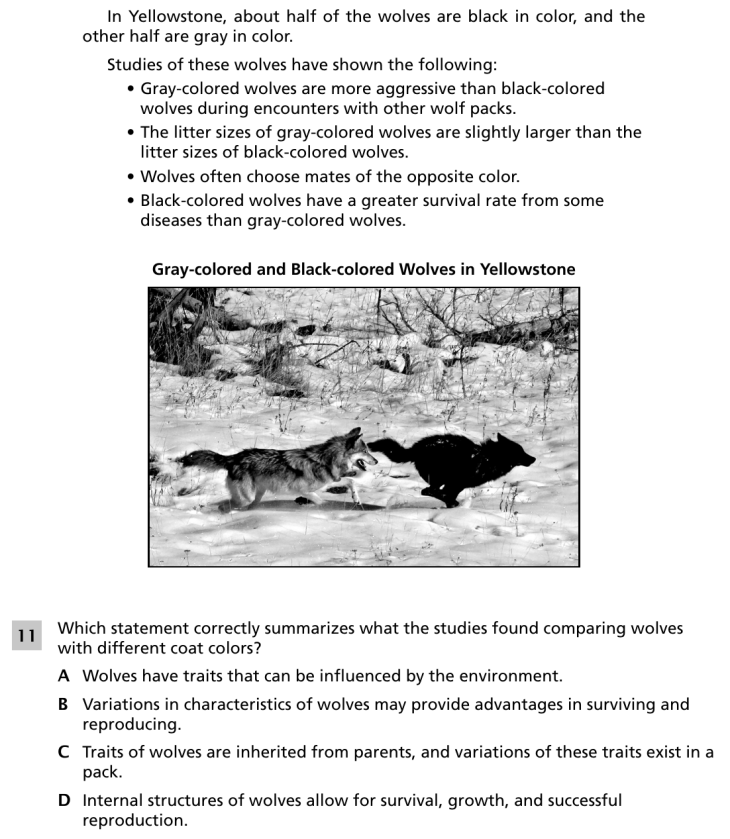 Question 2
