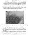 Thumbnail for version as of 13:37, 13 March 2026