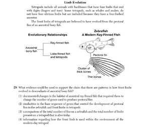 Biology Ju25 28.png