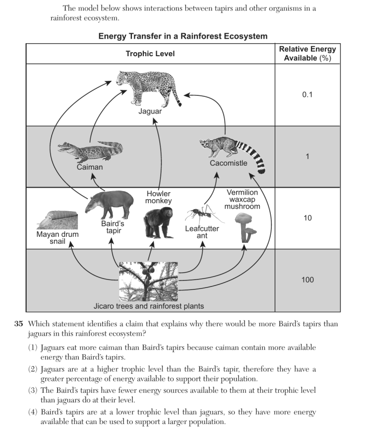 Question 3