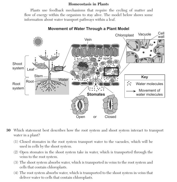 Question 1