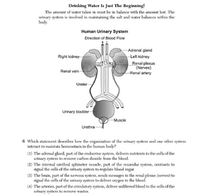 Biology Ju25 6.png
