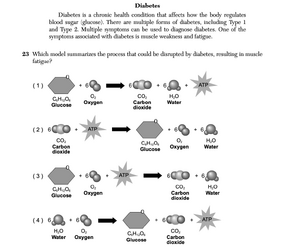 Biology Ja26 23.png