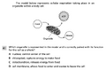 Thumbnail for version as of 10:18, 9 May 2025