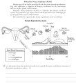 Biology Ju26 15.png