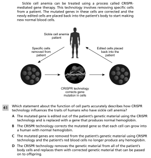Sickle cell anemia 5.png
