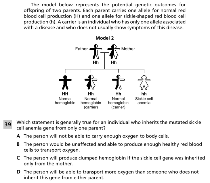 Question 3