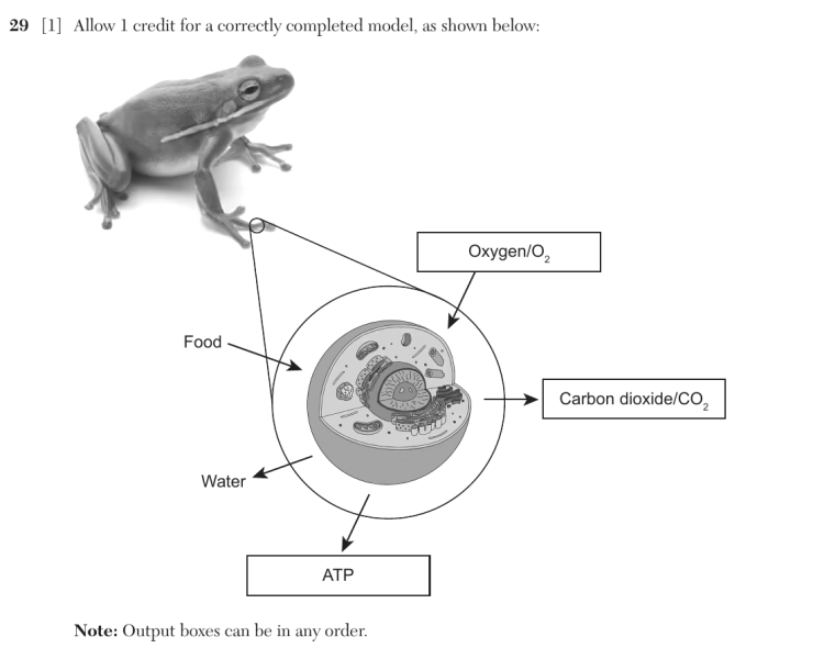 File:Biology Au26 29a.png