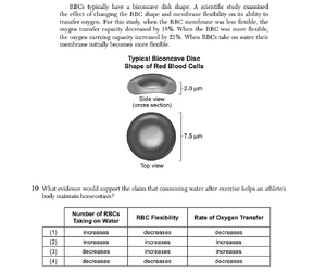 Biology Ju25 10.png