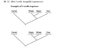 Biology Au25 35a.png