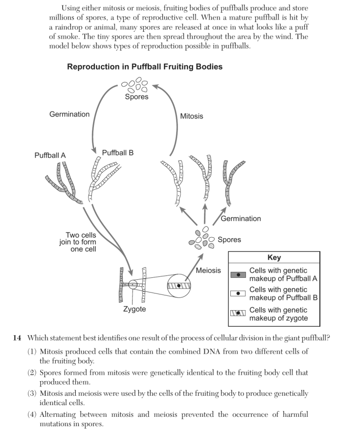 Question 2