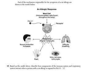 Biology Ja26 15.png
