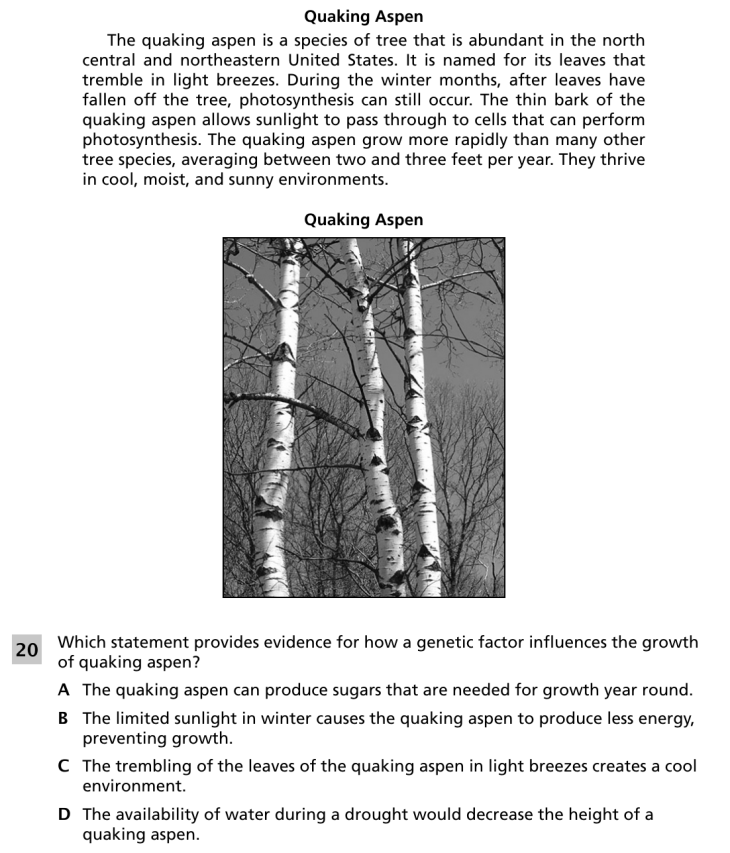 Question 1