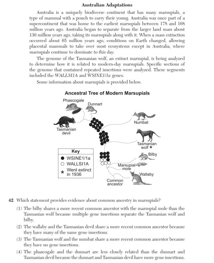Question 1