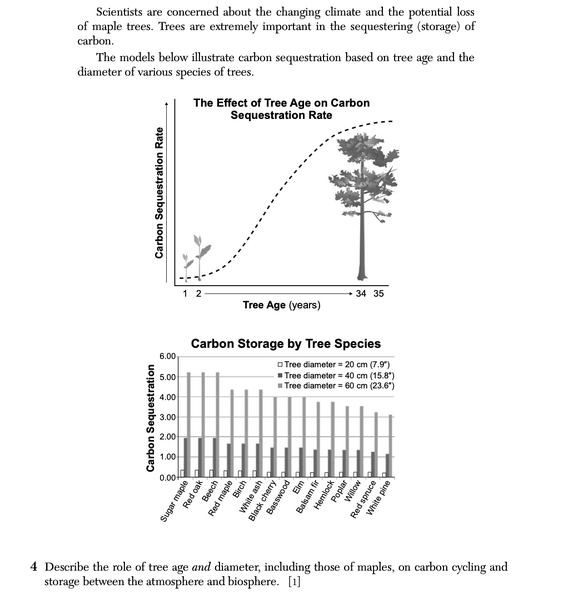 File:Biology Au25 4.png