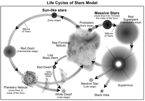 Life Cycles of Stars Model.png