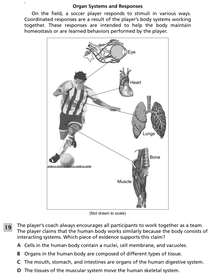 Question 1