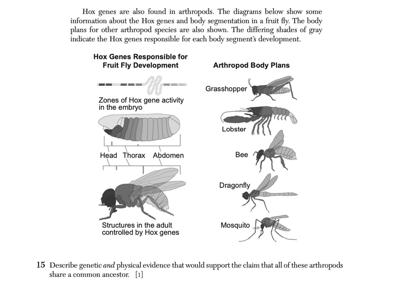 File:Biology Ju25 15.png