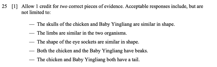 Answer to Question 3