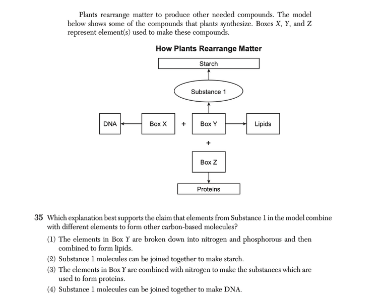 File:Biology Ju25 35.png