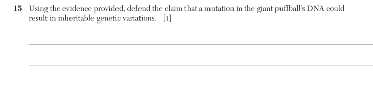 Question 3