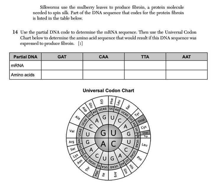Question 4