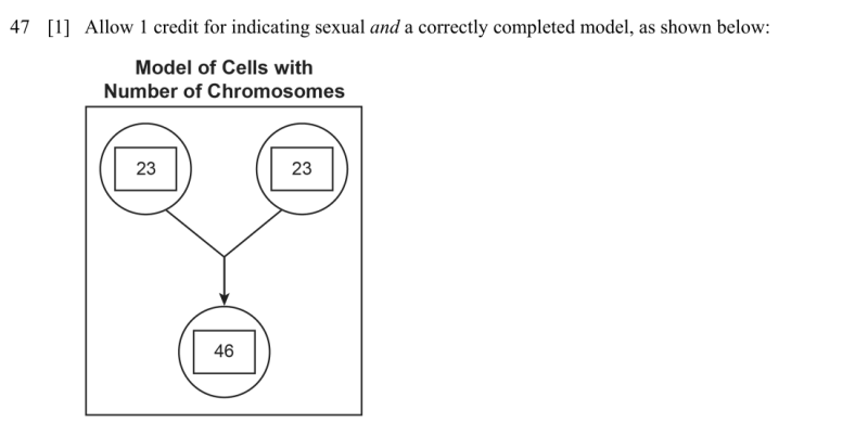 File:MS June 2025 answer 47.png