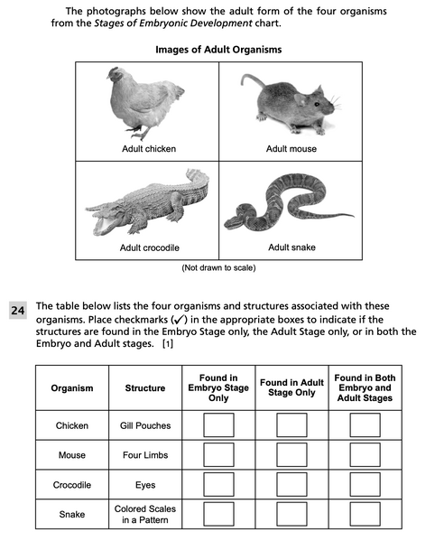 File:Evolutionary relationships 2.png